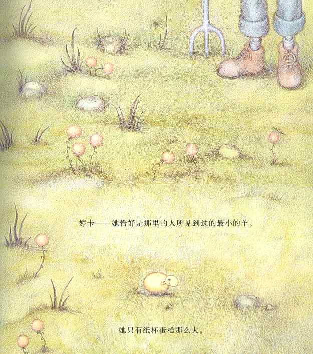 婷卡 (03),绘本,绘本故事,绘本阅读,故事书,童书,图画书,课外阅读